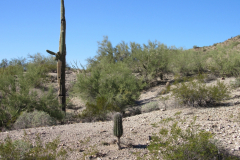 Moonlight Trail / San Tan Trail | AZoffroading.com