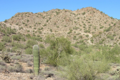 Moonlight Trail / San Tan Trail | AZoffroading.com