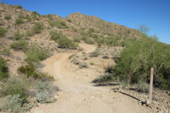 Moonlight Trail / San Tan Trail | AZoffroading.com
