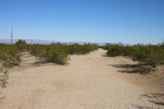 Moonlight Trail / San Tan Trail | AZoffroading.com