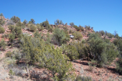 Oak Creek Homestead | AZoffroading.com