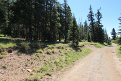 Reservation Lake Campground | AZoffroading.com