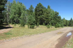 Reservation Lake Campground | AZoffroading.com