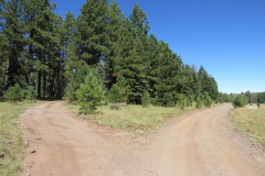 Reservation Lake Campground | AZoffroading.com