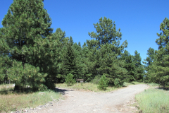 Reservation Lake Campground | AZoffroading.com