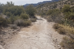 Second Water Trail | AZoffroading.com