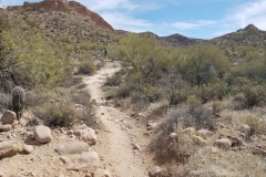 Second Water Trail | AZoffroading.com