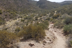 Second Water Trail | AZoffroading.com