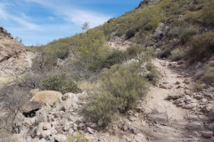 Second Water Trail | AZoffroading.com