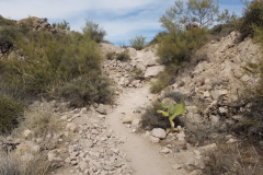 Second Water Trail | AZoffroading.com