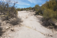 Second Water Trail | AZoffroading.com