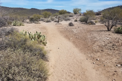Second Water Trail | AZoffroading.com