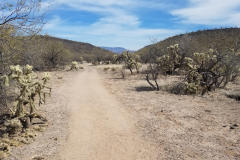 Second Water Trail | AZoffroading.com