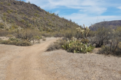 Second Water Trail | AZoffroading.com