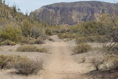 Second Water Trail | AZoffroading.com