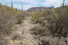 Second Water Trail | AZoffroading.com