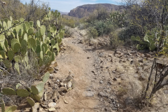 Second Water Trail | AZoffroading.com