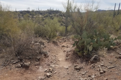 Second Water Trail | AZoffroading.com