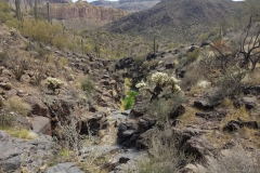 Second Water Trail | AZoffroading.com