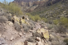 Second Water Trail | AZoffroading.com