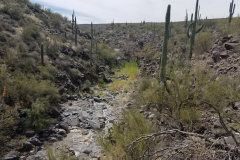 Second Water Trail | AZoffroading.com