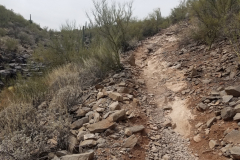 Second Water Trail | AZoffroading.com