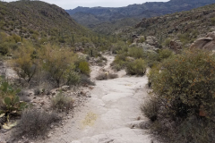 Second Water Trail | AZoffroading.com