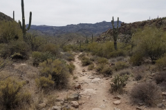 Second Water Trail | AZoffroading.com