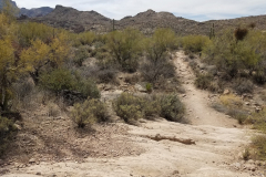 Second Water Trail | AZoffroading.com