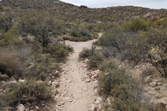 Second Water Trail | AZoffroading.com
