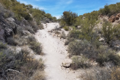 Second Water Trail | AZoffroading.com