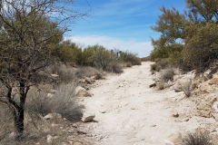 Second Water Trail | AZoffroading.com