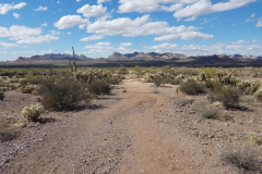 Treasure Loop Trail | AZoffroading.com