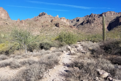 Wave Cave Trail | AZoffroading.com