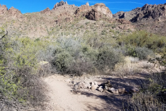 Wave Cave Trail | AZoffroading.com