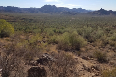 Wave Cave Trail | AZoffroading.com