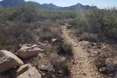 Wave Cave Trail | AZoffroading.com