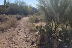 Wave Cave Trail | AZoffroading.com