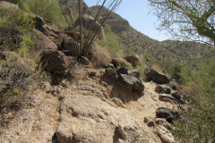 Wind Cave Trail | AZoffroading.com