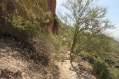 Wind Cave Trail | AZoffroading.com