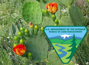 Arizona’s Bureau of Land Management lands