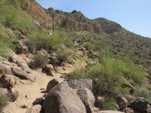 Wind Cave hiking trail
