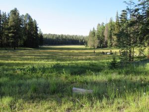 Hannagan Meadow Campground