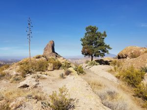Peralta hiking trail