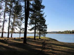 Horseshoe Cienega Lake Campground
