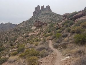 Miners Needle Loop hiking trail