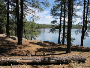 Hawley Lake Campground