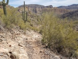 Second Water hiking trail