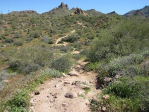 Massacre Grounds hiking trail