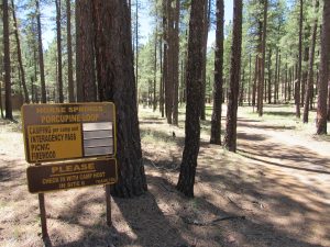 Horse Springs Campground